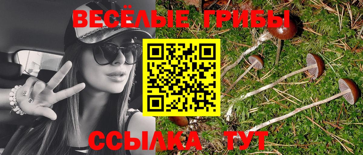 Алушта  Метамфетамин  МАРИХУАНА  Альфа ПВП СК кристаллы  Вход с VPN  Гашиш  Меф кристаллы  Экстази 