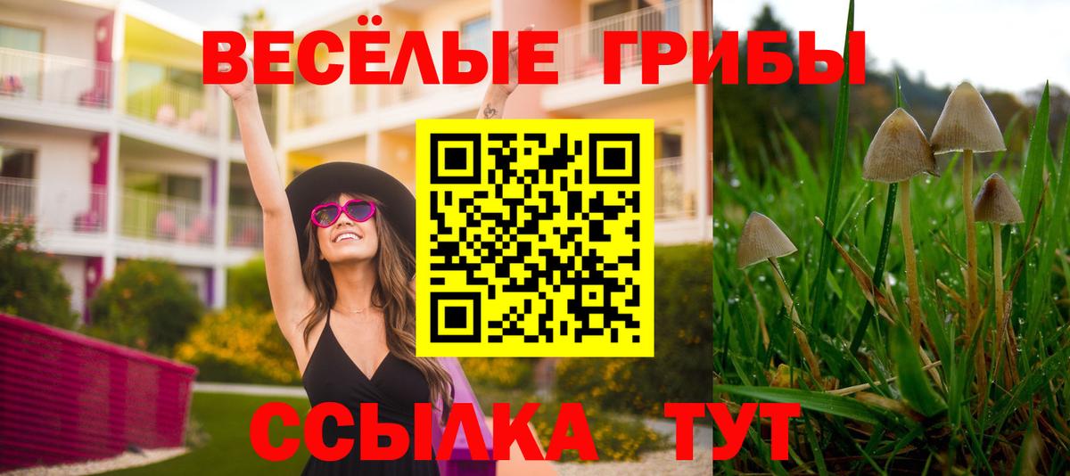 Галлюциногенные грибы MAGIC MUSHROOMS Алушта